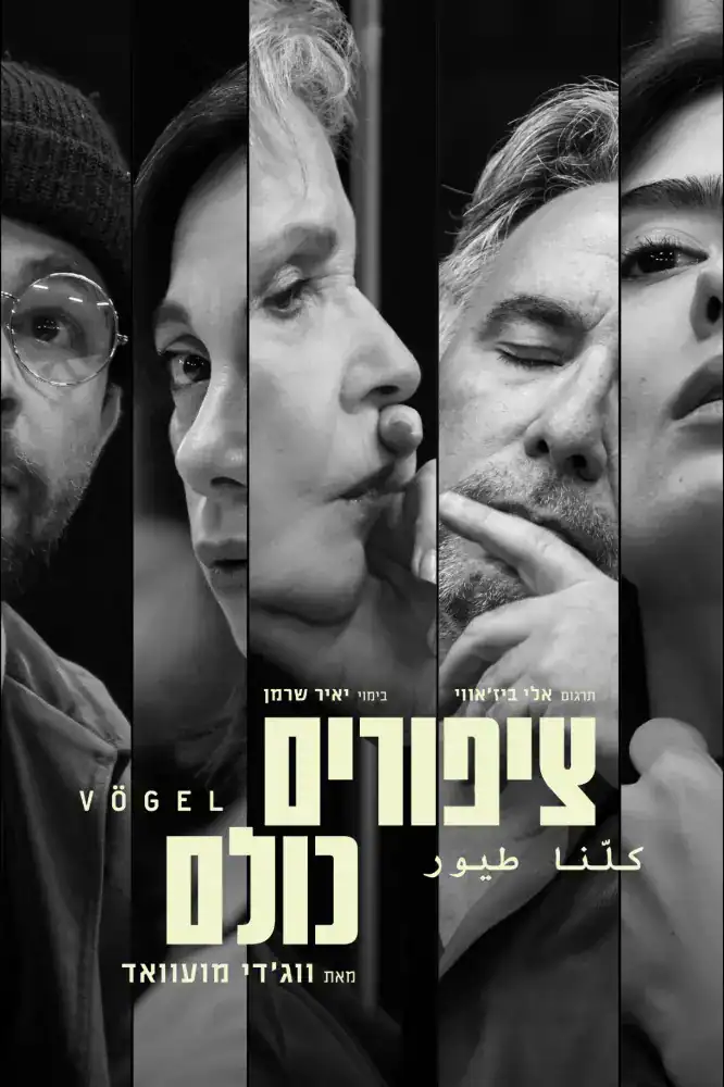 ציפורים כולם